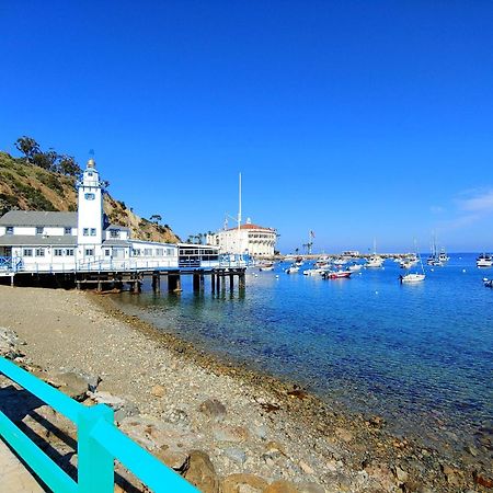 Lux Oceanfront Villa With Breathtaking Views Avalon Extérieur photo